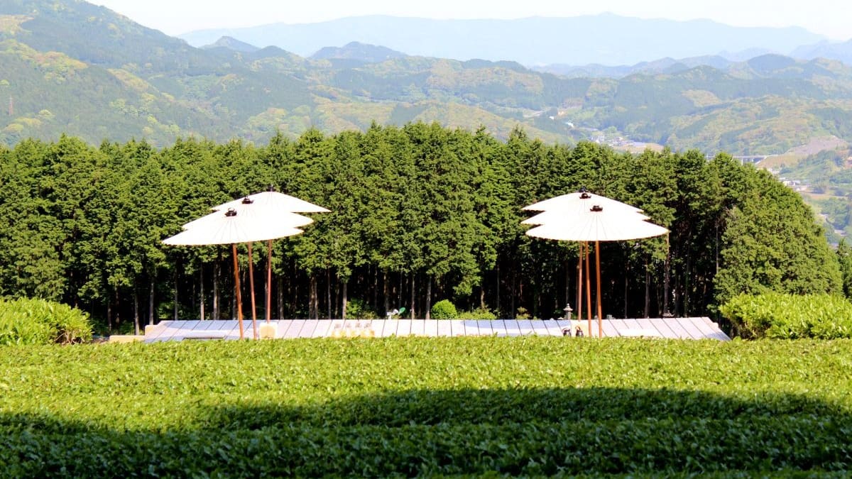 佐賀県嬉野市 天茶台の風景